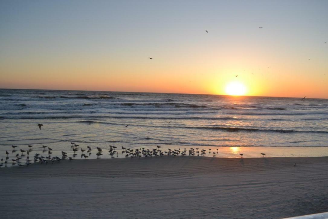 Daytona Beach Studio Condo With Beautiful Ocean View ภายนอก รูปภาพ